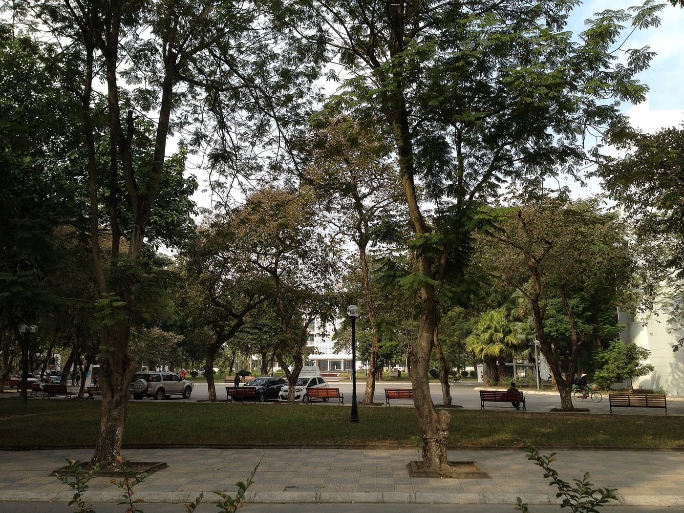 Lối đi hai hàng cây trong khuôn viên Bách Khoa, hai bên là những băng ghế dài đặt dưới bóng cây.